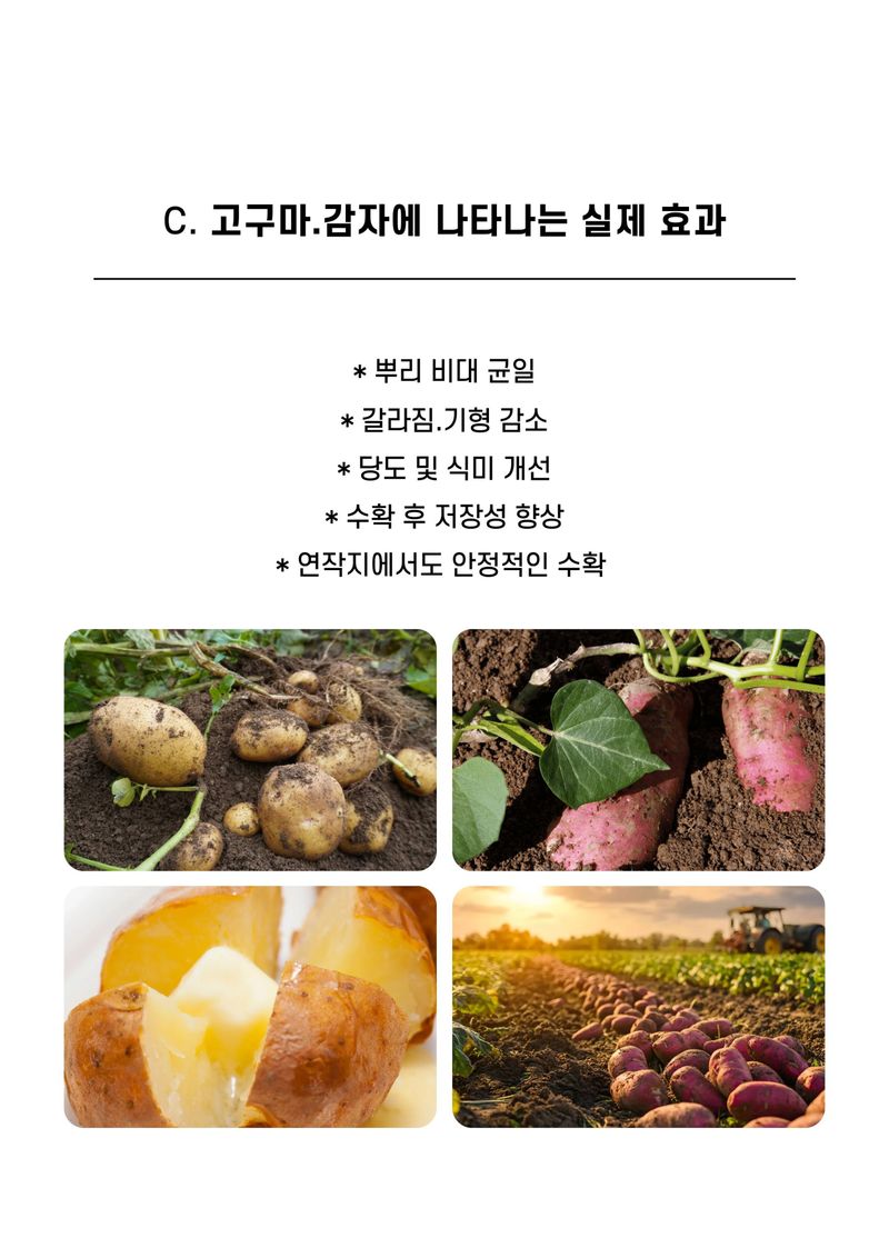 신탄진농약비료마트님의 장터 판매 상품 [가든필리아 고구마감자밭에1kg 천연유기물 구근작물 비대 뿌리활착 다수확 ] 첨부 사진
