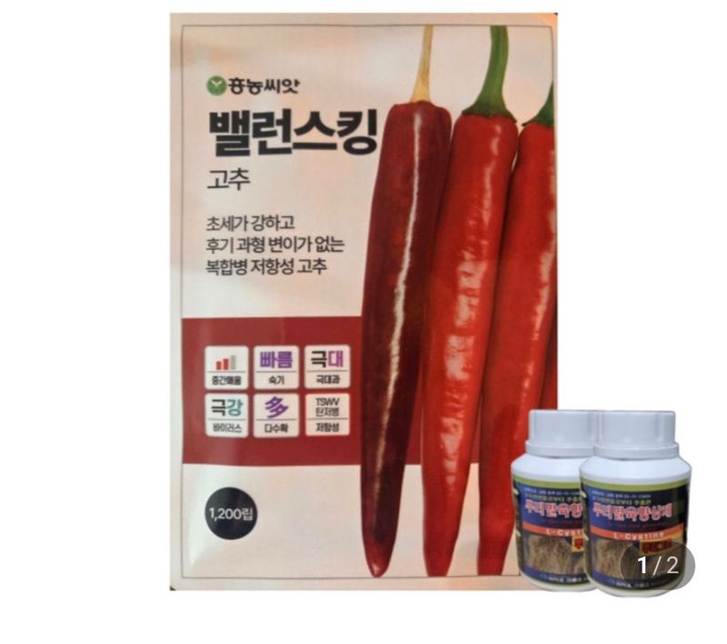 대산농사대장님의 장터 판매 상품 [벨러스킹 1200립 복합내병계  신품종] 첨부 사진