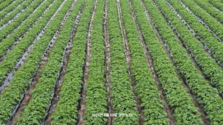 황규복(달구지)님의 자유주제 · 자유게시판 작성글 사진