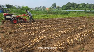 황규복(달구지)님의 자유주제 · 자유게시판 작성글 사진