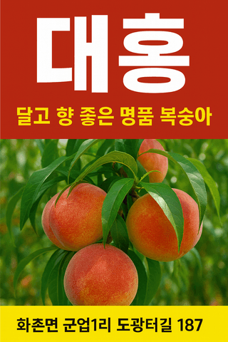 황덕순 님의 작성글 사진