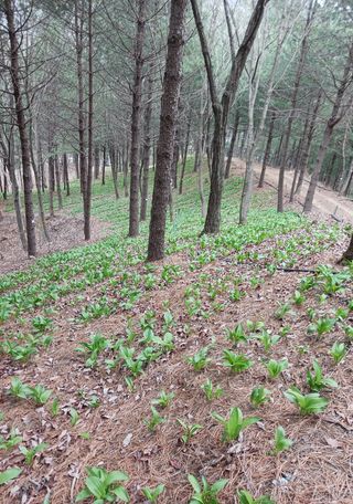 황덕순 님의 작성글 사진