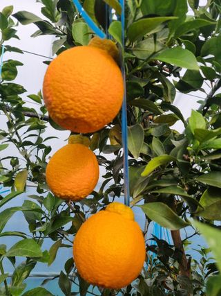 이호님의 자유주제 · 자유게시판 작성글 사진