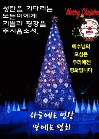 지종필님의 자유주제 · 자유게시판 작성글 사진