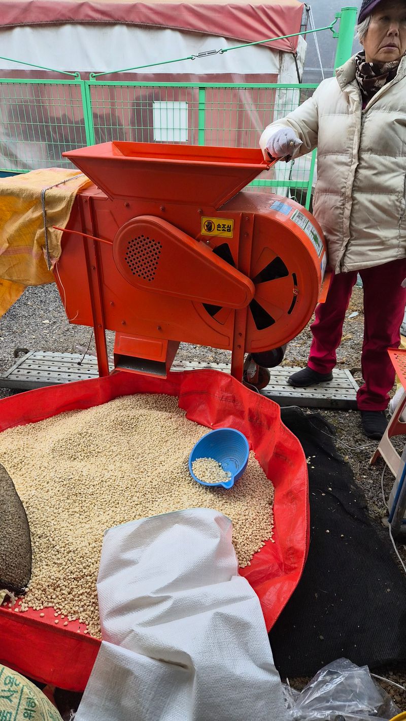 전용철님의 장터 판매 상품 [찰 옥수수 튀밥용] 첨부 사진