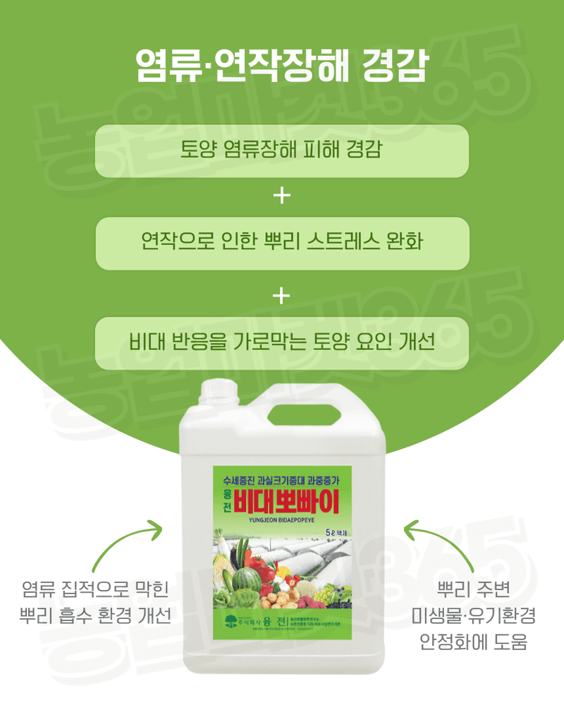 농업마켓365님의 장터 판매 상품 [융전 비대뽀빠이 액제 5L 과실비대 과중증가 관주용 비대제] 첨부 사진