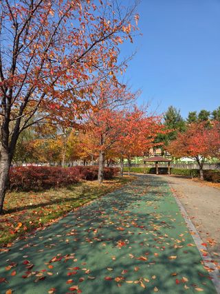 김상진님의 자유주제 · 자유게시판 작성글 사진