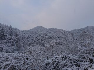 김석순 대암산아랫말님의 자유주제·자유게시판 작성글 사진