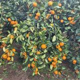 팜모닝 자유주제·사진전 게시글 이미지