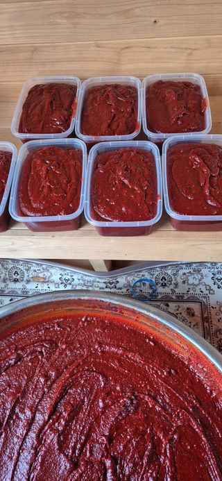 플라워님의 자유주제 · 자유게시판 작성글 사진