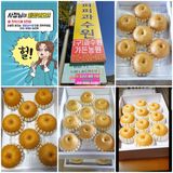 팜모닝 자유주제·자유게시판 게시글 이미지