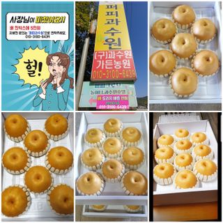 퍼피과수원님의 자유주제·자유게시판 작성글 사진