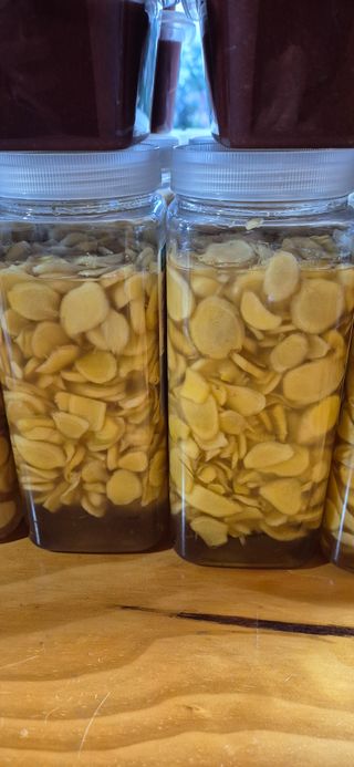 플라워님의 자유주제 · 자유게시판 작성글 사진