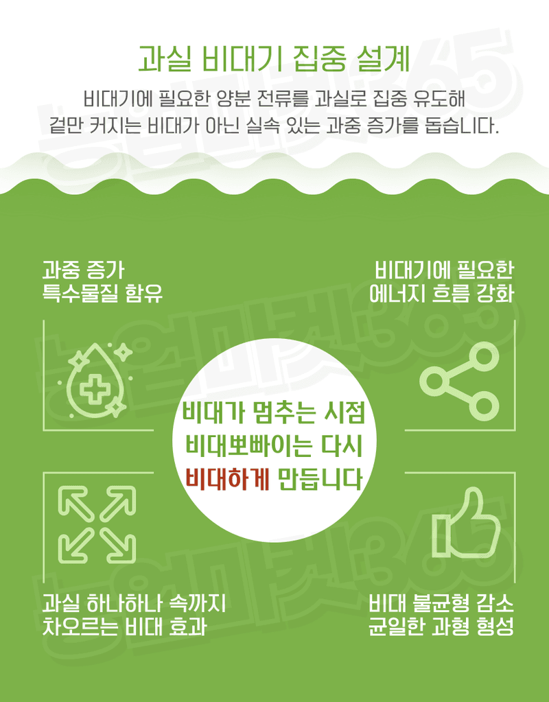 농업마켓365님의 장터 판매 상품 [융전 비대뽀빠이 액제 5L 과실비대 과중증가 관주용 비대제] 첨부 사진