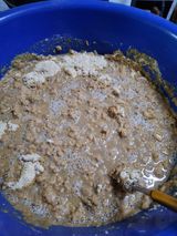 유영옥님의 자유주제·자유게시판 작성글 사진