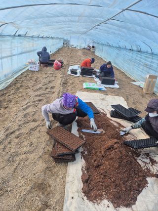병풍취산채농원님의 자유주제 · 자유게시판 작성글 사진