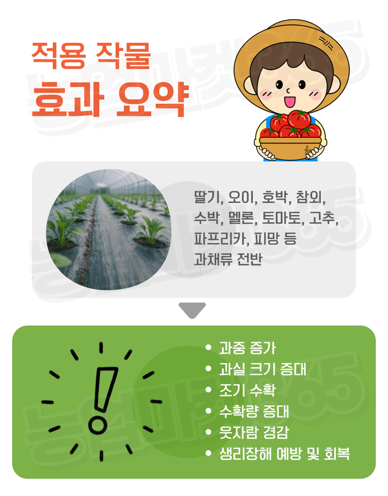 농업마켓365님의 장터 판매 상품 [융전 비대뽀빠이 액제 5L 과실비대 과중증가 관주용 비대제] 첨부 사진