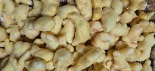 플라워님의 자유주제 · 자유게시판 작성글 사진