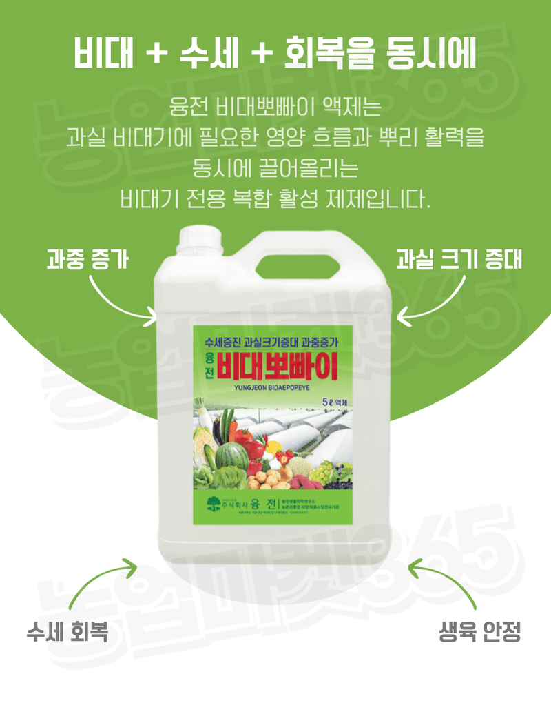 농업마켓365님의 장터 판매 상품 [융전 비대뽀빠이 액제 5L 과실비대 과중증가 관주용 비대제] 첨부 사진