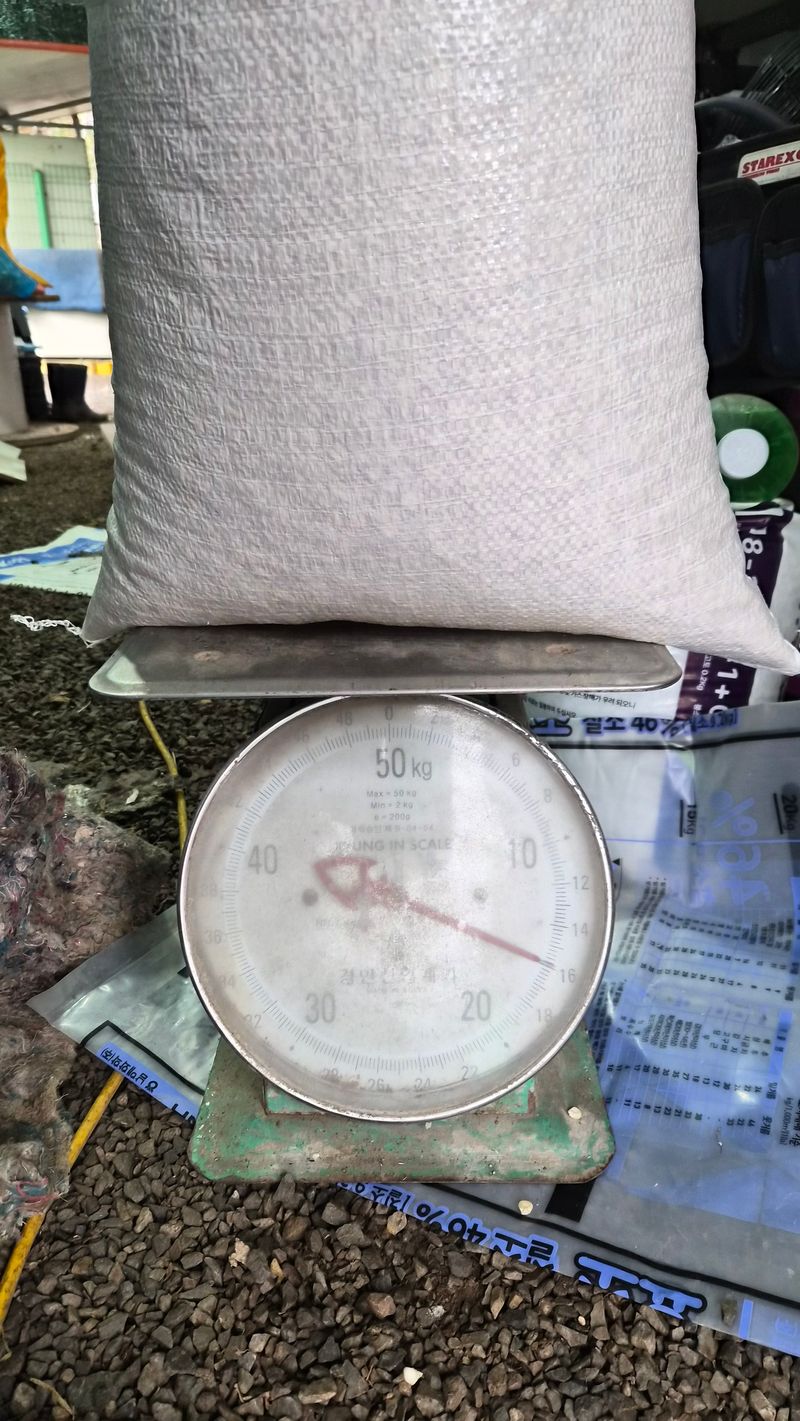 전용철님의 장터 판매 상품 [찰 옥수수 튀밥용] 첨부 사진