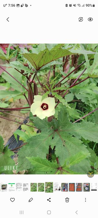 정찬영님의 작성글 사진