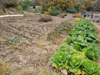 남돌돌님의 자유주제 · 자유게시판 작성글 사진