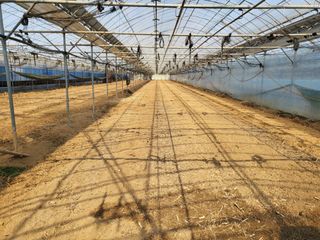 홍성규 님의 작성글 사진