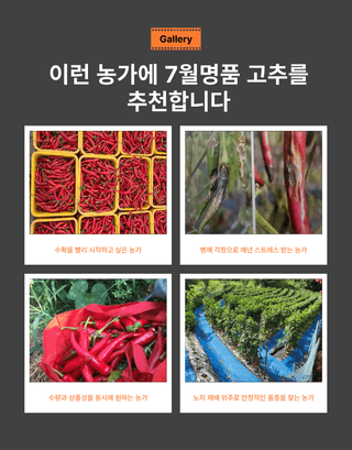 대산농사대장님의 고추 · 품종•종자 작성글 사진