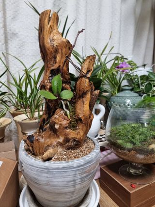 권병☆님의 자유주제 · 자유게시판 작성글 사진