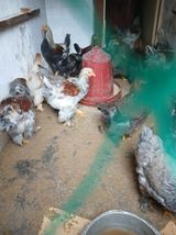 팜모닝 자유주제·자유게시판 게시글 이미지