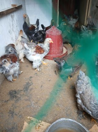 은행5k35000원님의 자유주제 · 자유게시판 작성글 사진