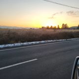 팜모닝 자유주제·사진전 게시글 이미지