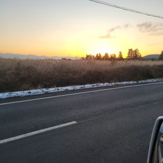 서귀포달코롬감귤농원님의 자유주제 · 사진전 작성글 사진