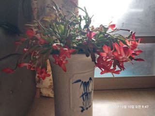 성주 농업인님의 자유주제 · 자유게시판 작성글 사진