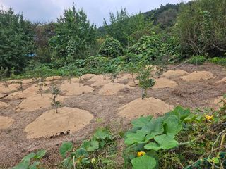 위종선님의 자유주제 · 자유게시판 작성글 사진