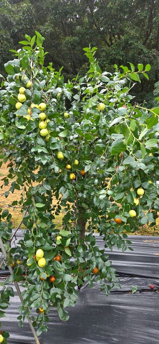 박민서님의 자유주제 · 자유게시판 작성글 사진