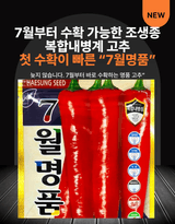 팜모닝 고추·품종•종자 게시글 이미지