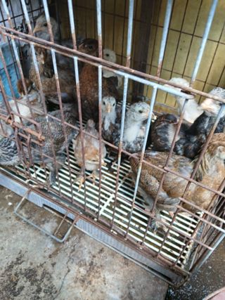 은행5k35000원님의 자유주제 · 자유게시판 작성글 사진