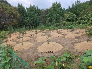 위종선님의 자유주제 · 자유게시판 작성글 사진