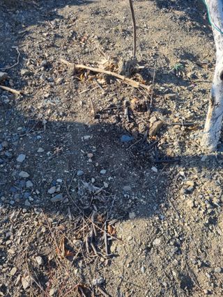 김용대님의 자유주제 · 자유게시판 작성글 사진