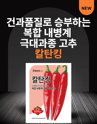 대산농사대장님의 고추 · 품종•종자 작성글 사진