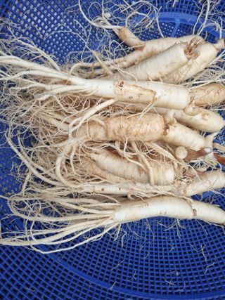 모두팜님의 작성글 사진