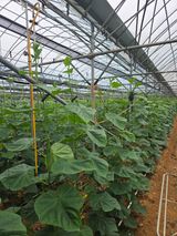 팜모닝 · 게시글 이미지