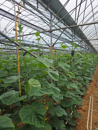 홍성규 님의 작성글 사진