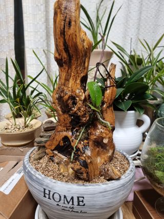 권병☆님의 자유주제 · 자유게시판 작성글 사진