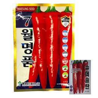 대산농사대장님의 고추 · 품종•종자 작성글 사진