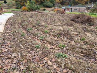남돌돌님의 자유주제 · 자유게시판 작성글 사진