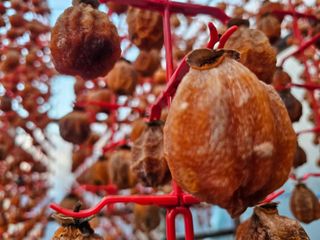 백용기님의 자유주제·자유게시판 작성글 사진