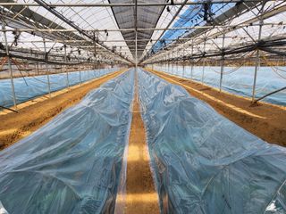 홍성규 님의 작성글 사진