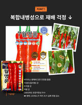 대산농사대장님의 고추·품종•종자 작성글 사진